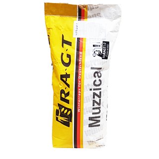 MUZZICAL