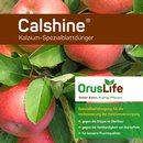Calshine