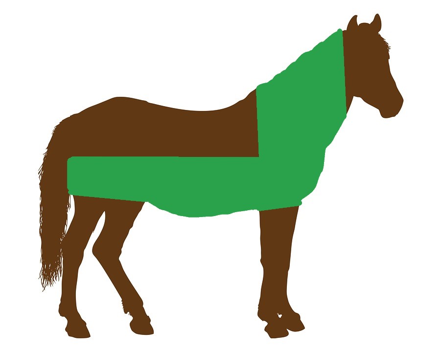 Pferd mit Deckenschnitt geschorren